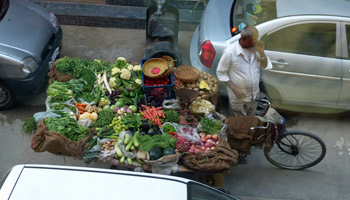 fruits sur vélo